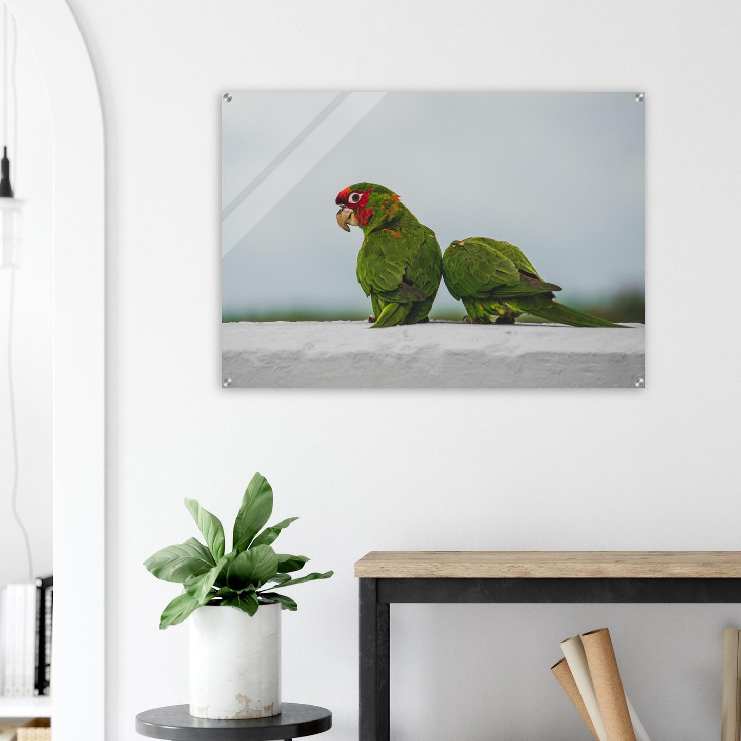 Beak Break - Acrylicproduct_type#My Store01d64d06 - a150 - 43e3 - aff2 - 9d777f756e9dChristianSosa.art
