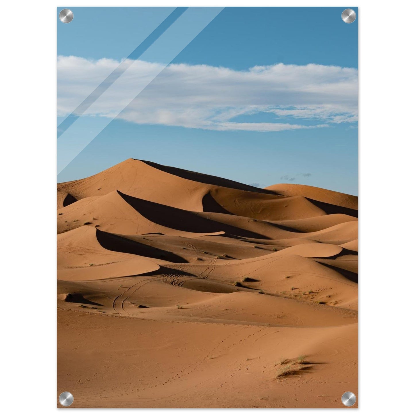 Sahara Sandsproduct_type#My Store4ca69e78 - cdb8 - 47e3 - 9a80 - c6236b861154ChristianSosa.art
