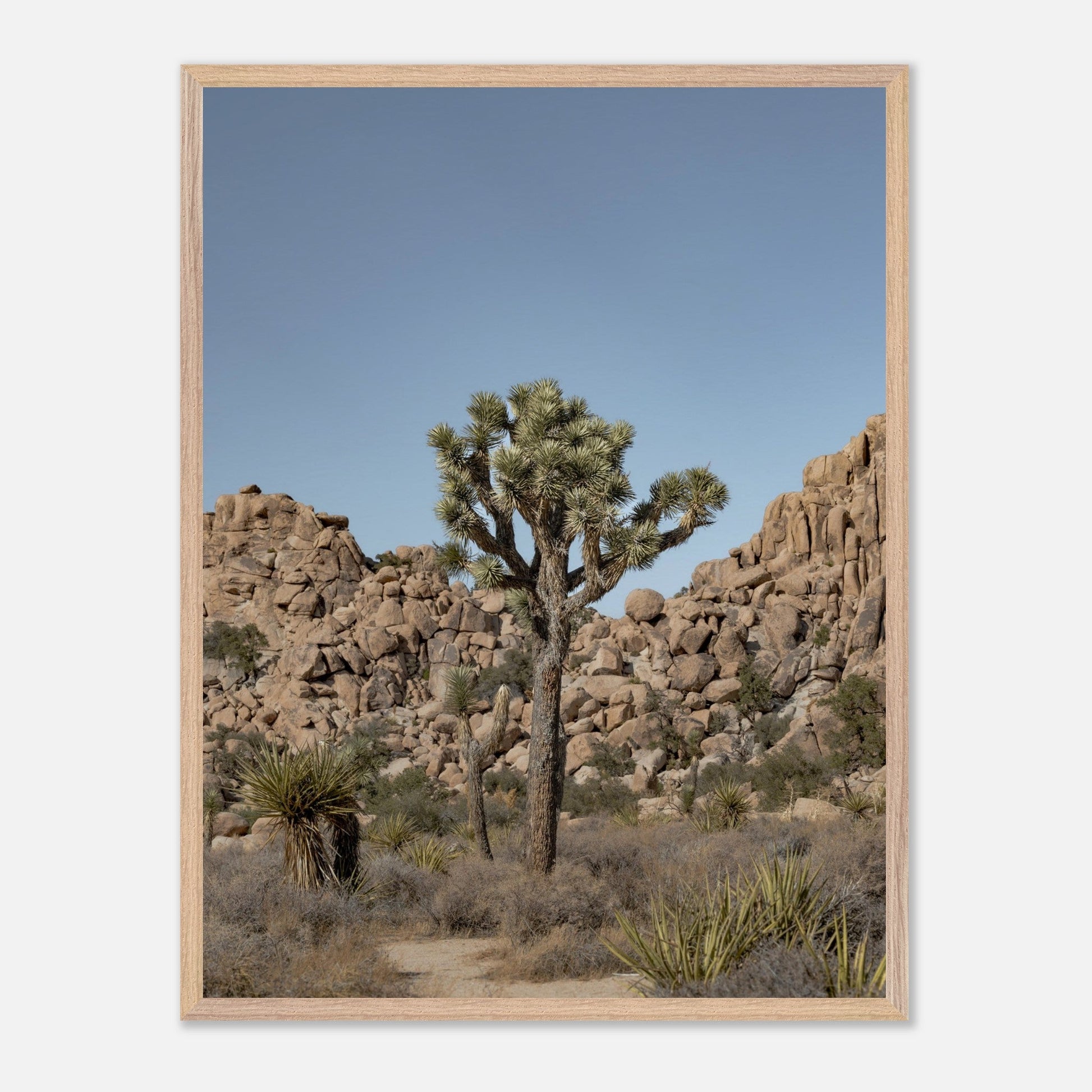 Joshua Tree - Premium Wooden Frameproduct_type#My Storee1d30f85 - d04f - 4dec - a176 - 81f6b2586a45ChristianSosa.art