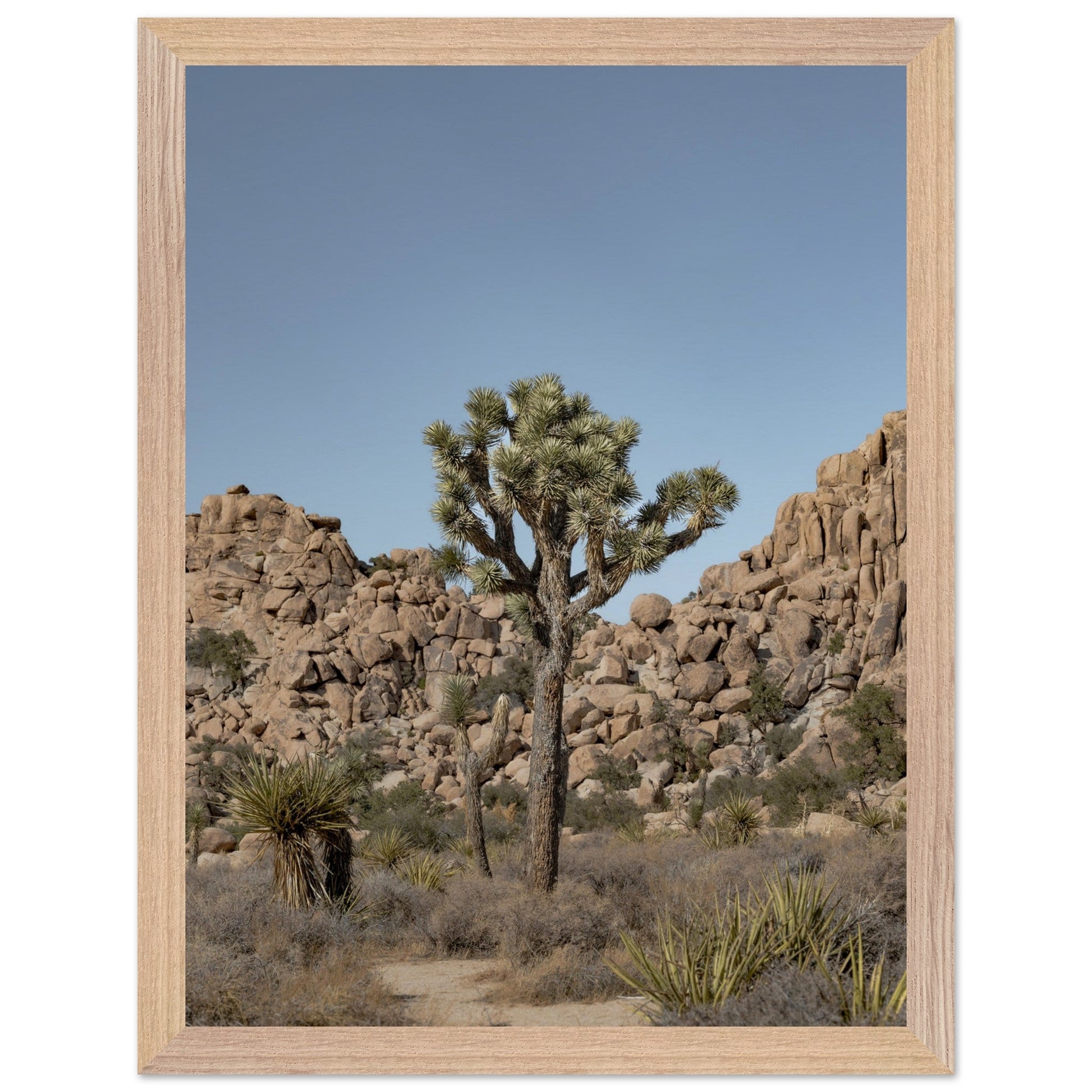 Joshua Tree - Premium Wooden Frameproduct_type#My Storedab7231e - 7d11 - 4a8a - a531 - bbab6adbd8c9ChristianSosa.art