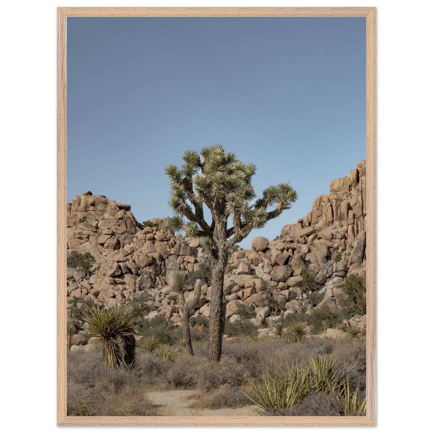 Joshua Tree - Premium Wooden Frameproduct_type#My Storee6e9e518 - 9290 - 4d90 - bc0f - 18b79538b587ChristianSosa.art