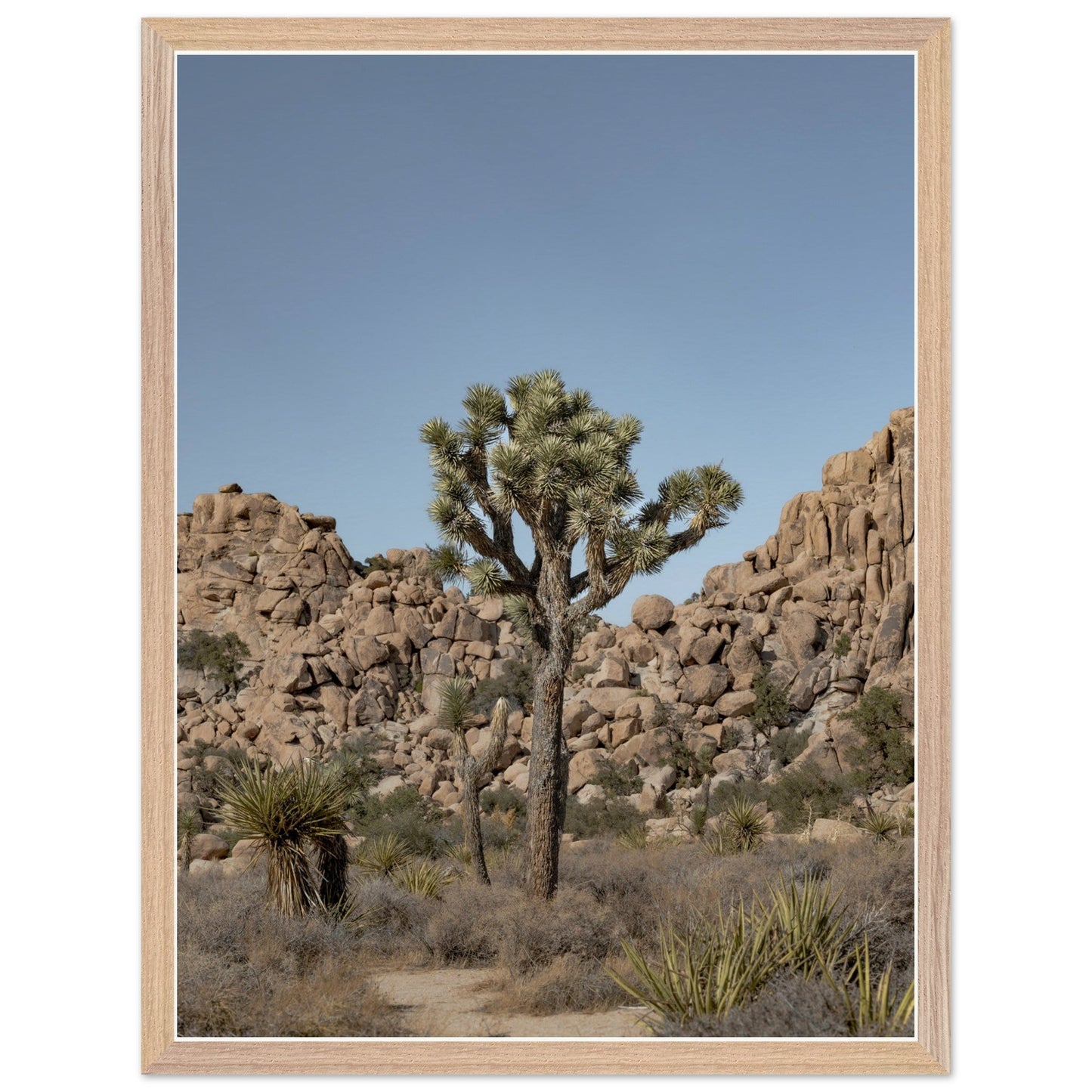 Joshua Tree - Premium Wooden Frameproduct_type#My Stored0623834 - d4f4 - 4c33 - 878c - e4eea27acbdbChristianSosa.art