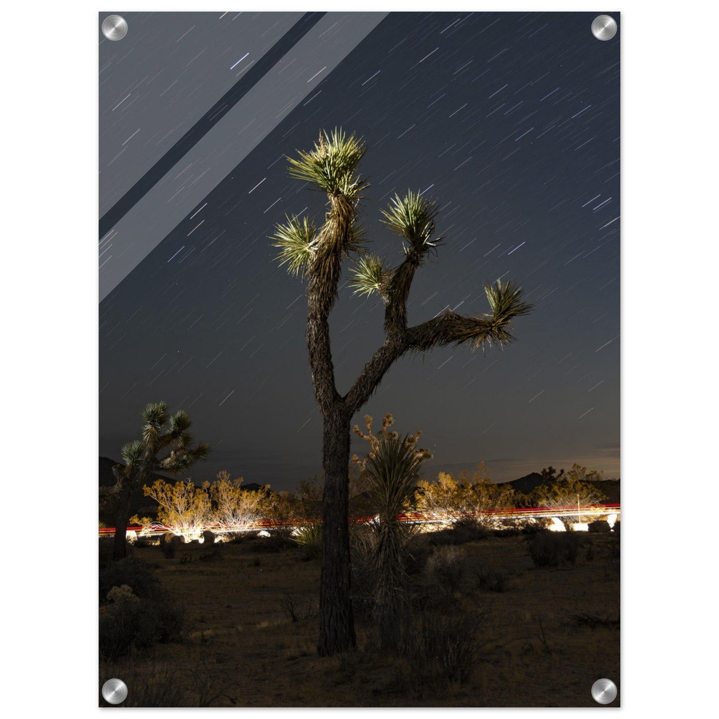 Joshua Tree Star Trailsproduct_type#My Store54139fb3 - 5aec - 4440 - af48 - 692ae0d6df5aChristianSosa.art